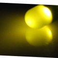 New Lon0167 20pcs 5mm Round Yellow Green Light-emitting Diode Led Bulb Lamps Runde Gelbe Grne Leuchtdiode Birne Lampen