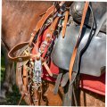 Baluue Equestrian Panic Hook Outdoors For Hanging Exercise Accessories Snap Fixed-eye Get Back Whips Hook Horse Buckle