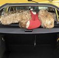 Cargo Cover Retractable Trunk Shielding Shade For 2016-2021 Hyundai Tucson Black By Kaungkai Not Fit Other Vehicle 