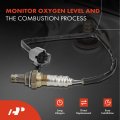 A-premium O2 Oxygen Sensor Compatible With Dodge Caravan 1997-2000 Grand 1996-1997 Chrysler Voyager 2000 Plymouth Upstream