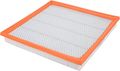Fram Ca10989 Extra Guard Panel Air Filter 