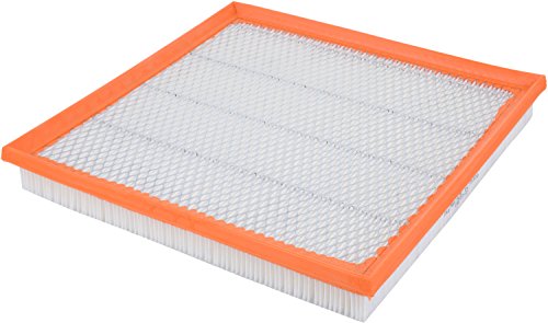 Fram Ca10989 Extra Guard Panel Air Filter