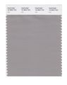 Pantone Smart 16-3802x Color Swatch Card Ash 