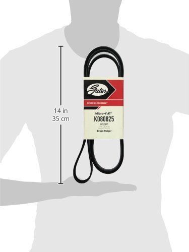Gates K080825 Micro-v Belt