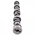 Newyall 4 8l 5 3l Engine Camshaft