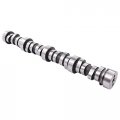 Newyall 4 8l 5 3l Engine Camshaft