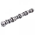Newyall 4 8l 5 3l Engine Camshaft