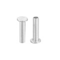 50pcs Semi Tubular Rivets 2 5mm X 10mm Aluminum Round Flat Head Semi-tubular Metal Stud Rivet For Industry Household Repairing 