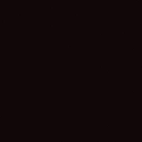 Rust-oleum Painter S Touch Latex Paint Gloss Black 1 Quarts Pack Of 2