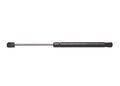 Strongarm 6564 Trunk Lid Lift Support 