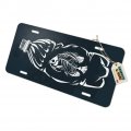 Graphics More Dead Fish Bones In Plastic Bottle Novelty Metal Vanity Tag License Plate