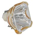 Sim2 Domino D80 Projector Original Bulb