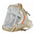 Sim2 Domino D80 Projector Original Bulb