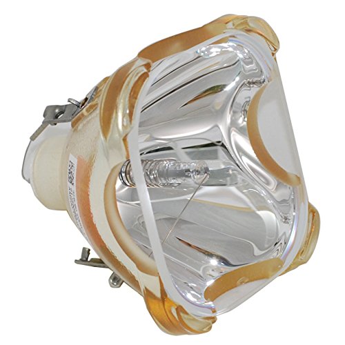 Sim2 Domino D80 Projector Original Bulb