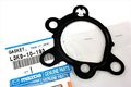 Fuel Pump Gasket L3k9-10-193