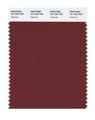 Pantone 19-1724 Tcx Smart Color Swatch Card Cabernet 