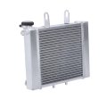 3 Rows Radiator Replacement For Can Am Rally 175 And Bombardier 200 2003 To 2007