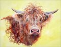 Steer Accent Decor Tile Scotty By Susan Libby Kitchen Bathroom Shower Ceramica 8 X 6 