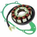 Stator Gasket For Gs750 Gs750l Gs750n 1977-1979 Generator 12-pole 