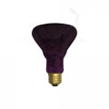 Ge 22748 75-watt Black Light Indoor R30 Flood 