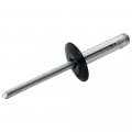 Allstar Performance Lg Hd Rivet 250pk Black Flange Type Alum Mandrel 