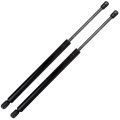 Liftgate Lift Supports Struts For Saturn Vue 2002 2007 Gas Springs Rear Left And Right Set Of 2 4363 Pm1118 Sg330092 