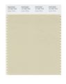 Pantone Smart 13-1007x Color Swatch Card Oyster White 