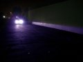 Xentec H11 12000k Hid Xenon Bulb 1 Pair Blue Violet Color