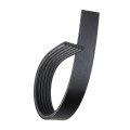 V Ribbed Serpentine Belt For Mercury Cougar 1999 6 Rib 72 64 In Outside Circumference 0 81 Top Width 09 Effective Length Black