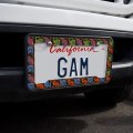 Geometric Dinosaurs Aztec Mayan Style Tyrannosaurus Triceratops Velociraptor Brontosaurus Pattern License Plate Tag Frame