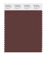 Pantone Smart 19-1431x Color Swatch Card Fudgesickle 