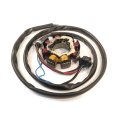 Stator For Kawasaki 1995 Jet Ski Sts Jt750 B1 Statorplate Engine Motor Marine Fits To 1997 1996 Ss And Super Sports Xi 1998 750 