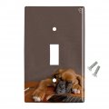 Boxer Puppy Dog Sleeping On Guitar Plastic Wall Decor Toggle Light Switch Plate Cover 