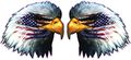 American Flag Eagle Head Pair 8 From The United States 