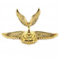 Flying Eagle Golden Logo Car Hood Ornament Metal Stickers Ornaments For Trucks Auto 3d Stand Decal Bonnet Univeral Emblem Badge
