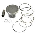 Na-30014-b Standard Bore Size B Piston Kit For Arctic Cat 700 4x4 Auto Fits 2006 To 2008 Models 102mm Silver 
