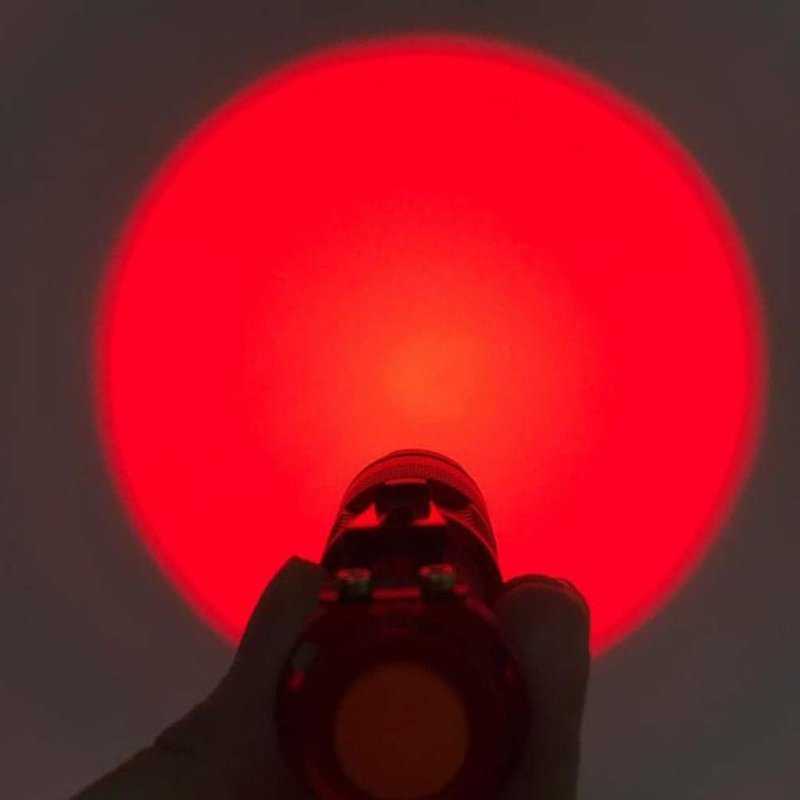 Red Light Flashlight Mini Led Zoomable Single Mode Torch For Hunting Night Observation Astronomy Aviation 3 Pack