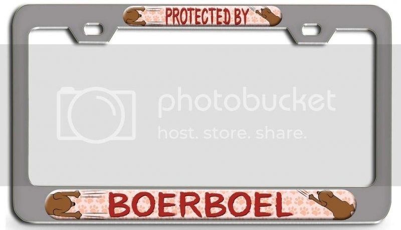 Protected By Boerboel Dogs Pets Ch 3d Metal License Plate Frame Auto Suv Truck Tag Holder X45