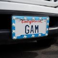 Cute Harp Seal Pup On Ice With Fish License Plate Tag Frame