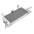 Tcmt Aluminium Oil Cooler Cooling Radiator Fit For Bmw S1000rr 2019-2024 S1000r 21-24 Replace 17218356820