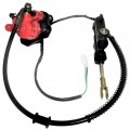 Rear Foot Brake Assembly With Master Cylinder And Caliper Fits Most Coolster 110cc 3050b C 3050d