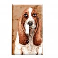 Gotham Decor Basset Hound Portrait Dog Breed Light Switch Covers Single Toggle 
