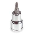 Westward 3le50 Socket Tr Torx Bit T10 