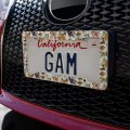 Framed Cats Kittens In Hats Butterflies Pattern License Plate Tag Frame