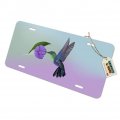 Graphics More Hummingbird Crowned Woodnymph Purple Violet Novelty Metal Vanity Tag License Plate