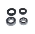 2003 2004 2005 2006 Fits Kawasaki Kfx400 400 Front Wheel Bearings And Seals X1 