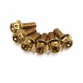 6pcs Gold Tone M6 X 15 Motorcycle Titanium Alloy Hexagon Bolts Clips Screws 
