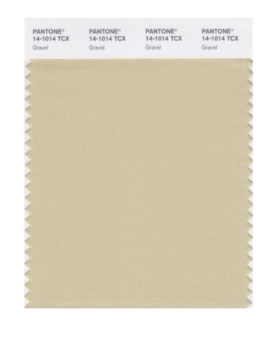 Pantone Smart 14-1014x Color Swatch Card Gravel