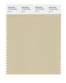 Pantone Smart 14-1014x Color Swatch Card Gravel 