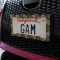 Deer Antler Hunting Hunter Camouflage Diamond License Plate Tag Frame